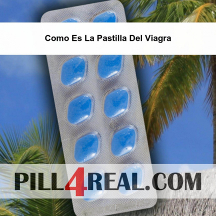 Como Es La Pastilla Del Viagra 207
