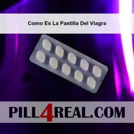 Como Es La Pastilla Del Viagra 385