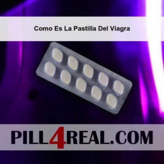 Como Es La Pastilla Del Viagra 385
