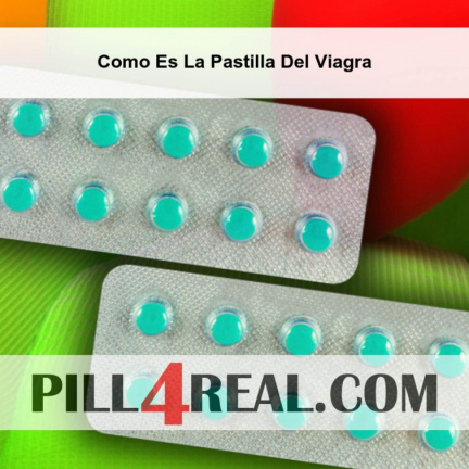 Como Es La Pastilla Del Viagra 479