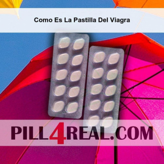 Como Es La Pastilla Del Viagra 488