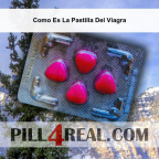 Como Es La Pastilla Del Viagra 515