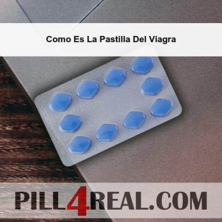 Como Es La Pastilla Del Viagra 559