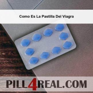 Como Es La Pastilla Del Viagra 559