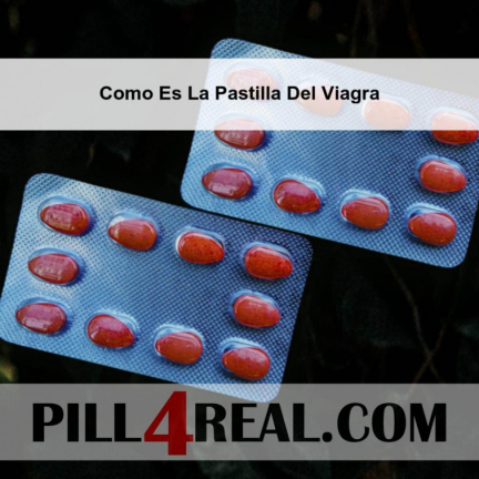 Como Es La Pastilla Del Viagra 604