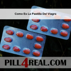 Como Es La Pastilla Del Viagra 604