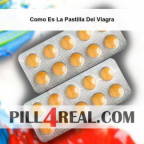 Como Es La Pastilla Del Viagra 690