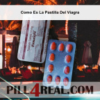 Como Es La Pastilla Del Viagra 844