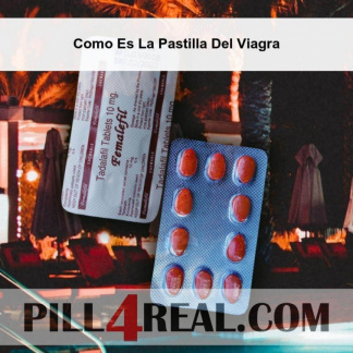 Como Es La Pastilla Del Viagra 844