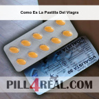 Como Es La Pastilla Del Viagra 845