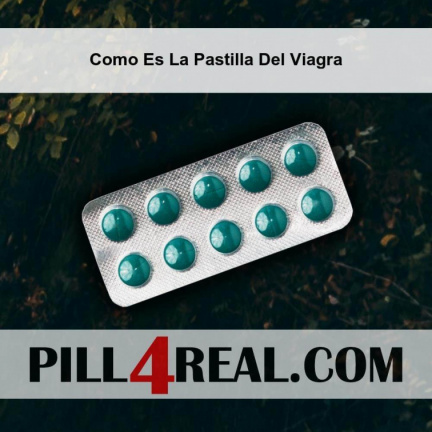 Como Es La Pastilla Del Viagra 989
