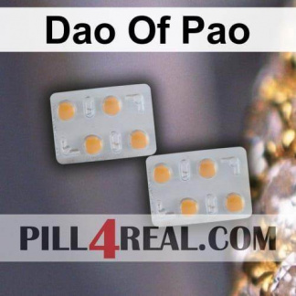 Dao Of Pao 041