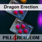 Dragon Erection 003