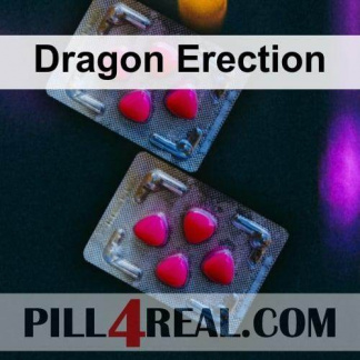 Dragon Erection 003