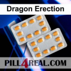 Dragon Erection 007