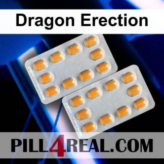 Dragon Erection 007