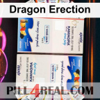 Dragon Erection 009