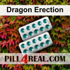 Dragon Erection 025