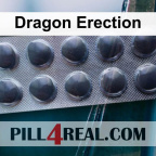 Dragon Erection 063