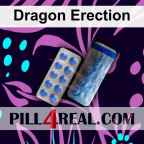 Dragon Erection 079
