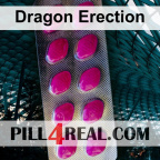 Dragon Erection 104