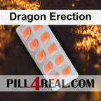 Dragon Erection 107