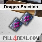Dragon Erection 148