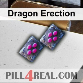 Dragon Erection 148