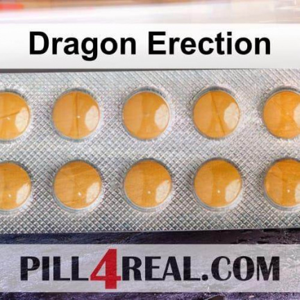 Dragon Erection 259