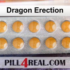 Dragon Erection 259