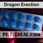 Dragon Erection 275