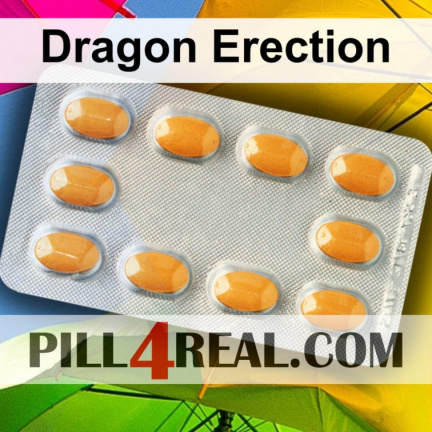 Dragon Erection 278