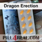 Dragon Erection 331