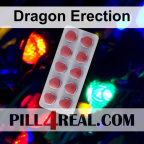 Dragon Erection 393
