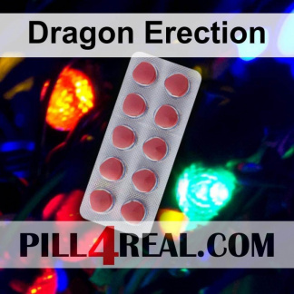 Dragon Erection 393