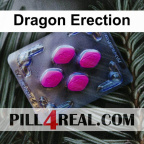 Dragon Erection 455