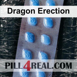 Dragon Erection 467