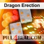 Dragon Erection 533