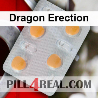 Dragon Erection 550