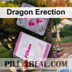 Dragon Erection 588