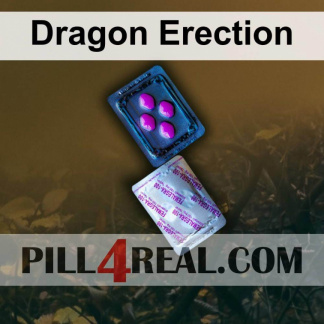 Dragon Erection 592