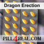 Dragon Erection 609