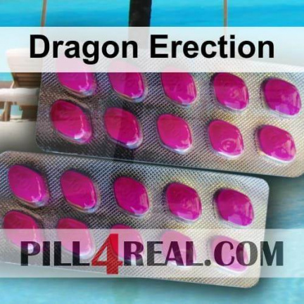 Dragon Erection 611