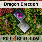 Dragon Erection 666