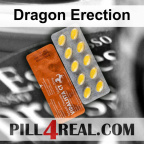 Dragon Erection 671