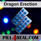 Dragon Erection 718