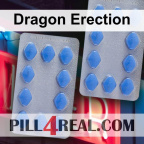 Dragon Erection 744