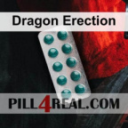 Dragon Erection 752