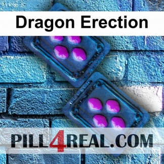 Dragon Erection 821