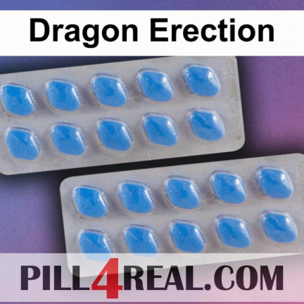 Dragon Erection 981